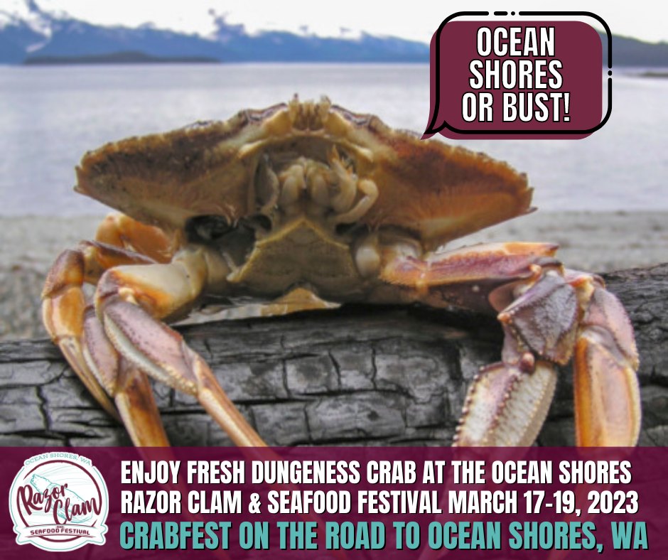 Ocean Shores Razor Clam Fest CrabFestOlympic Peninsula